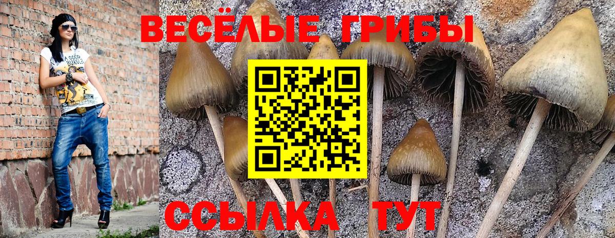 Галлюциногенные грибы Magic Shrooms Семилуки