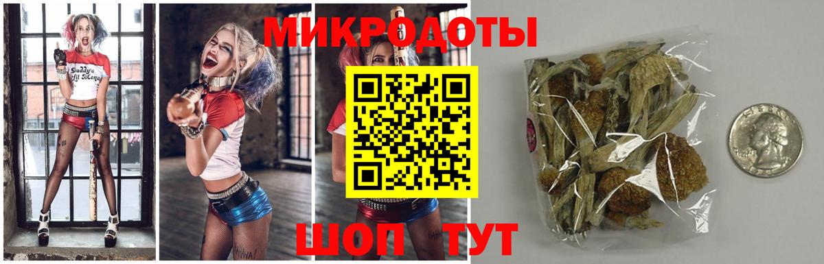 Семилуки  Псилоцибиновые грибы Psilocybine cubensis  Псилоцибиновые грибы Magic Shrooms  Вход с VPN 